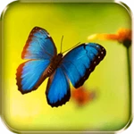 butterflies live wallpaper android application logo